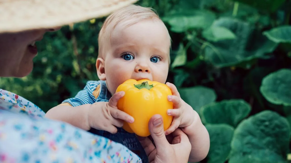 Attention : les jeunes enfants ne sont pas autorisés à manger ces aliments