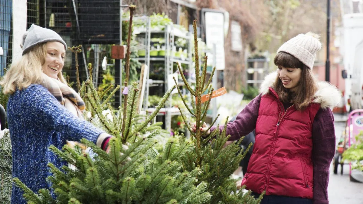 Achetez un sapin de Noël : utilisez ces conseils pour trouver le sapin parfait