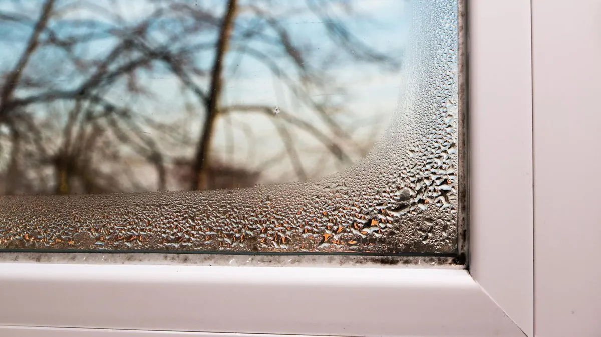 Vitres mouillées le matin : les meilleurs conseils d'experts Condensation