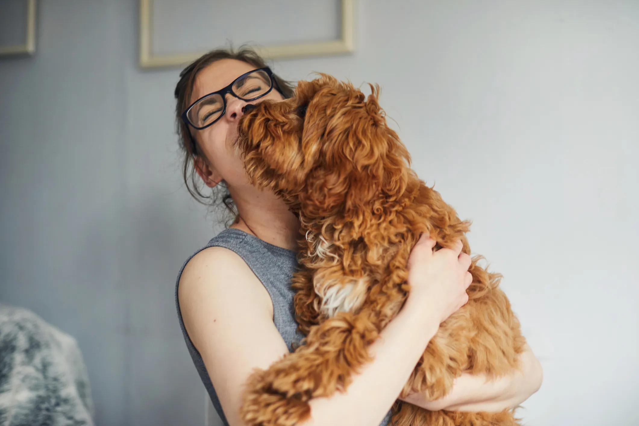 Selon un professeur de psychologie : ce sont les races de chiens les plus intelligentes