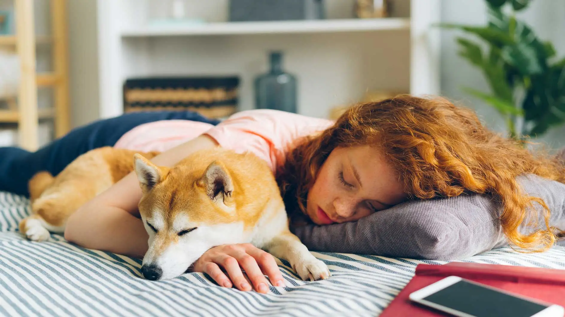 Laissez les ados dormir ! C'est pourquoi le sommeil est important pour la santé et n'est pas un signe de paresse.