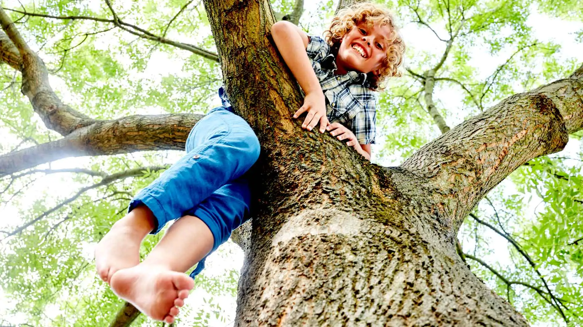 Plus de courage pour la liberté : ce style parental fait sensation