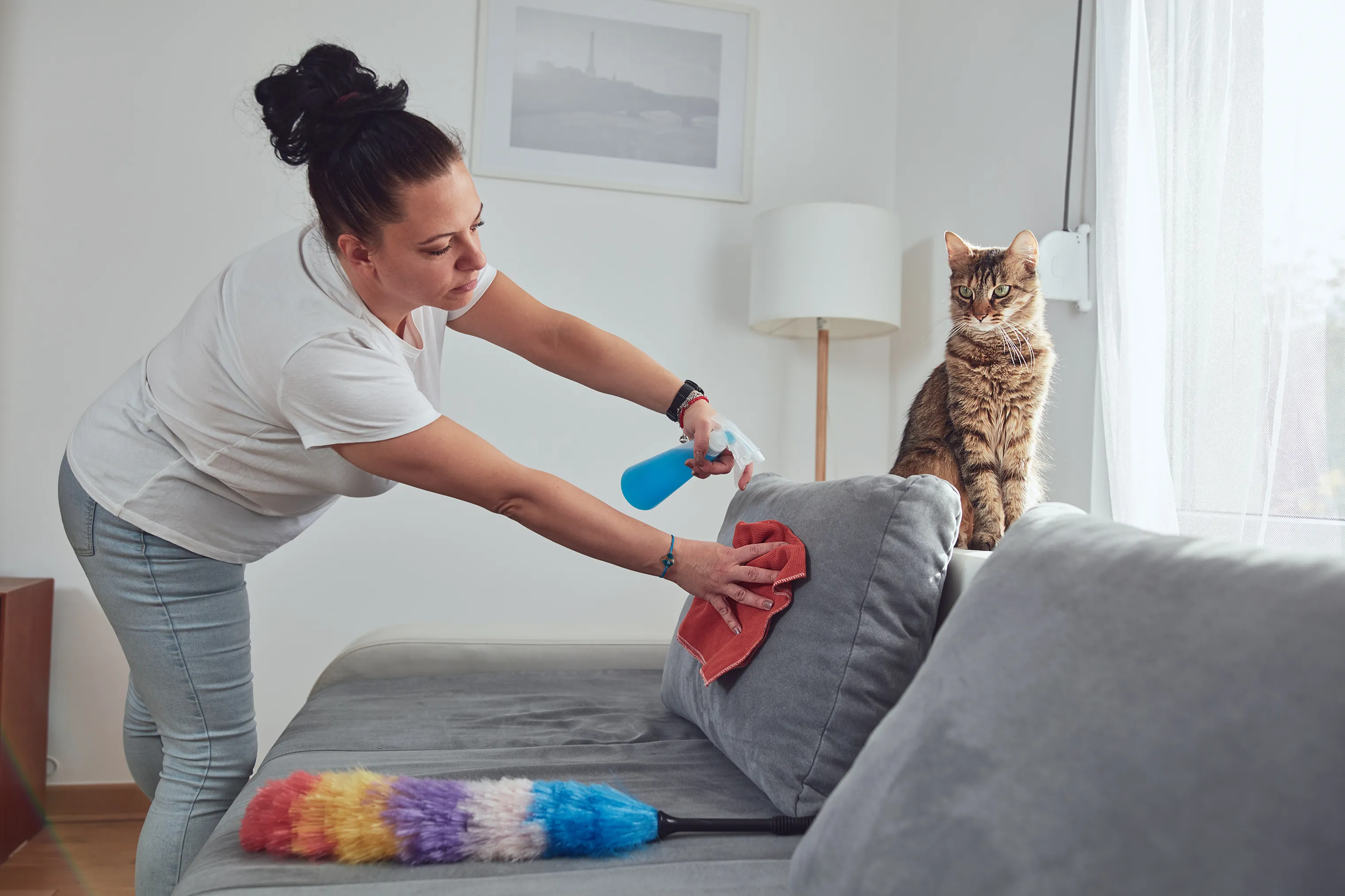 Nettoyage de printemps avec Fell &amp; Pfoten: ces choses devraient certainement nettoyer les propriétaires d'animaux